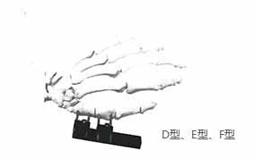 HM-10900掌骨、指骨系列