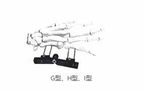 HM-10900掌骨、指骨系列